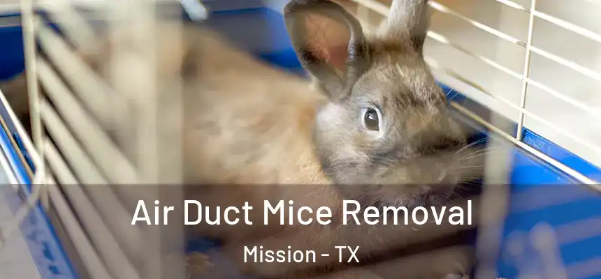 Air Duct Mice Removal Mission - TX