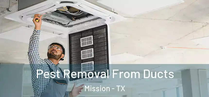  Pest Removal From Ducts Mission - TX