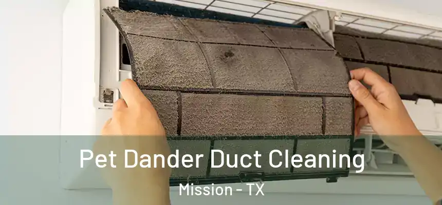 Pet Dander Duct Cleaning Mission - TX