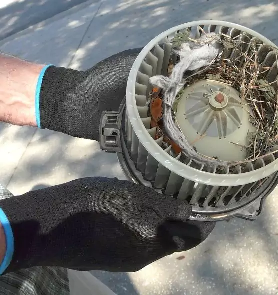 About Air Duct Mice Removal in Mission, TX