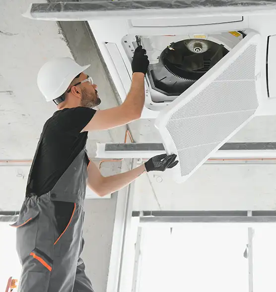 About Air Duct Rodent Removal in Mission, TX