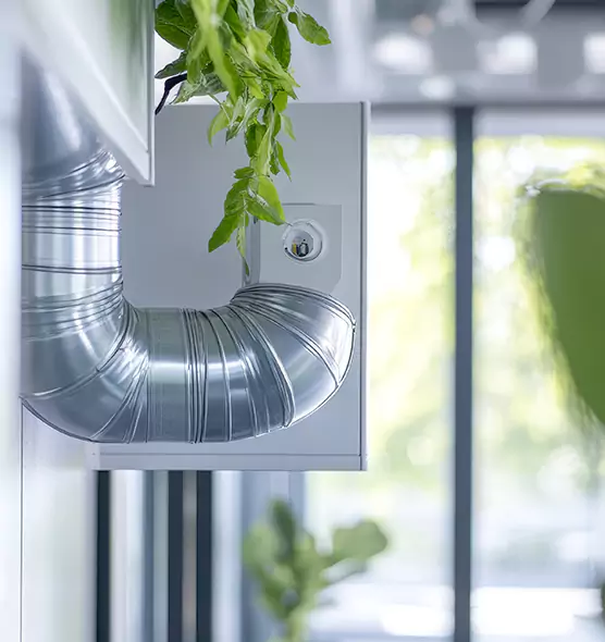 Professional Eco-Safe Dryer Vent Cleaning in Mission, TX