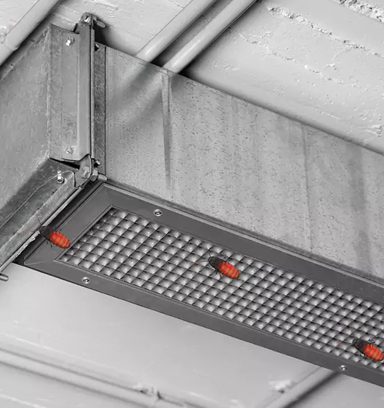 Affordable Insect Removal from Air Ducts in Mission, TX
