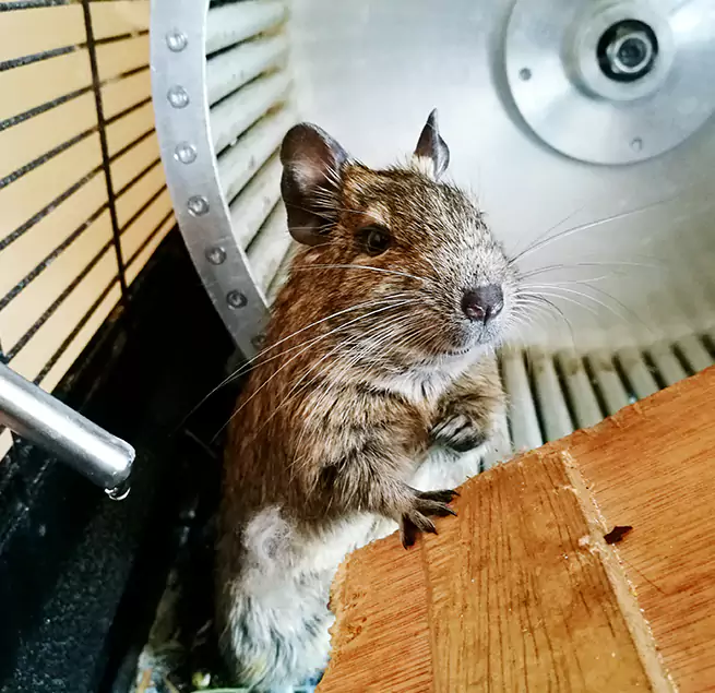 Why Homeowners & Businesses Trust Us Mission, TX