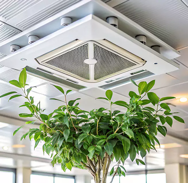 Why Homeowners & Businesses Trust Us in Mission, TX?